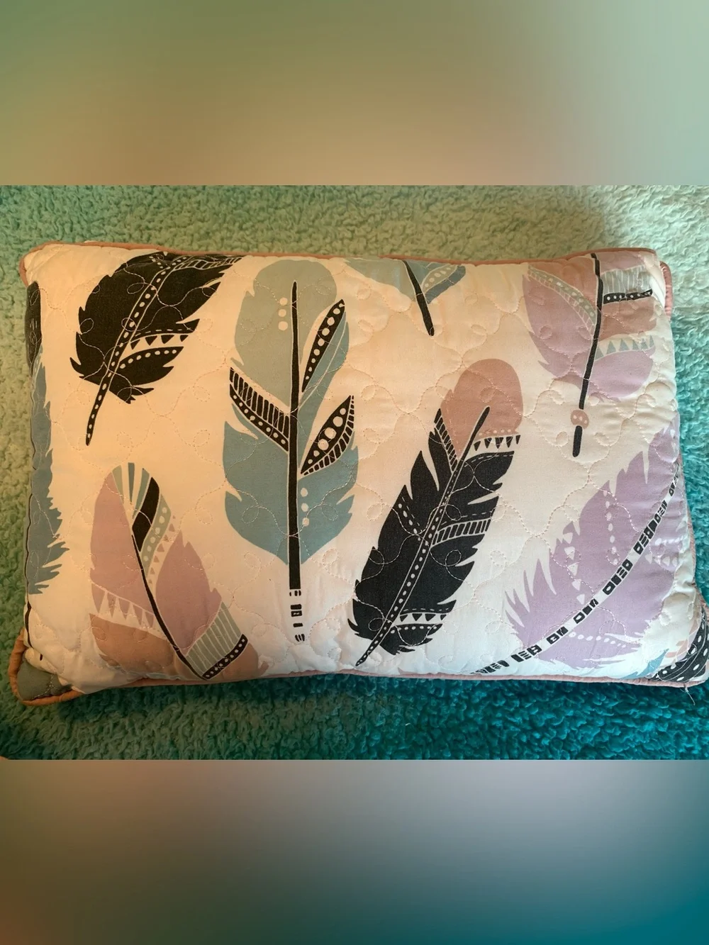 Dreamcatcher & Feather Decorative Throw Pillow - set of 2-Pink, Teal, Black